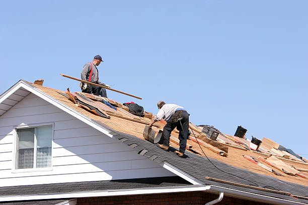 Reliable Louise, TX Roofing service Solutions